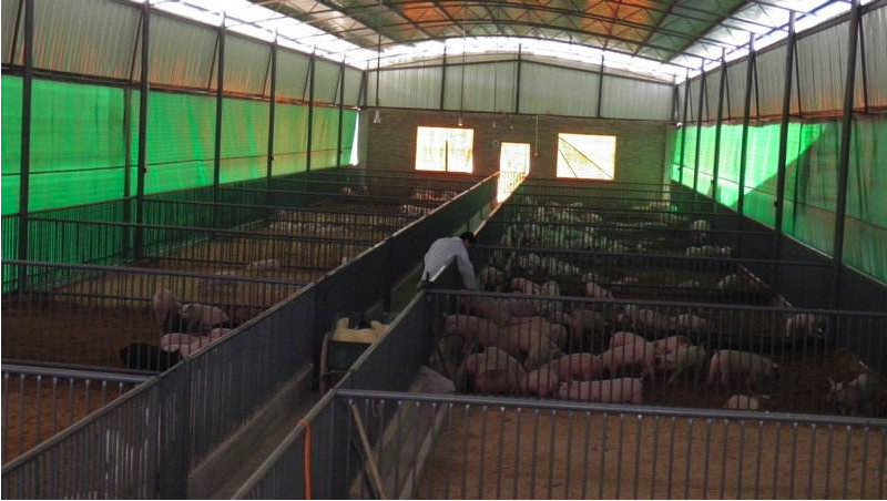 1633999538495354.png 1009 (1).png