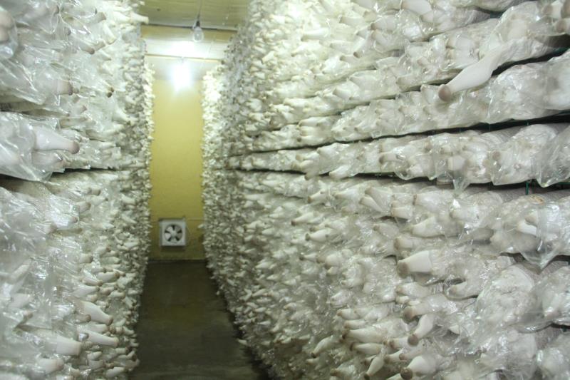 1638755156499718.jpg f582a70ec148ceeb75835d7547aacfc.jpg